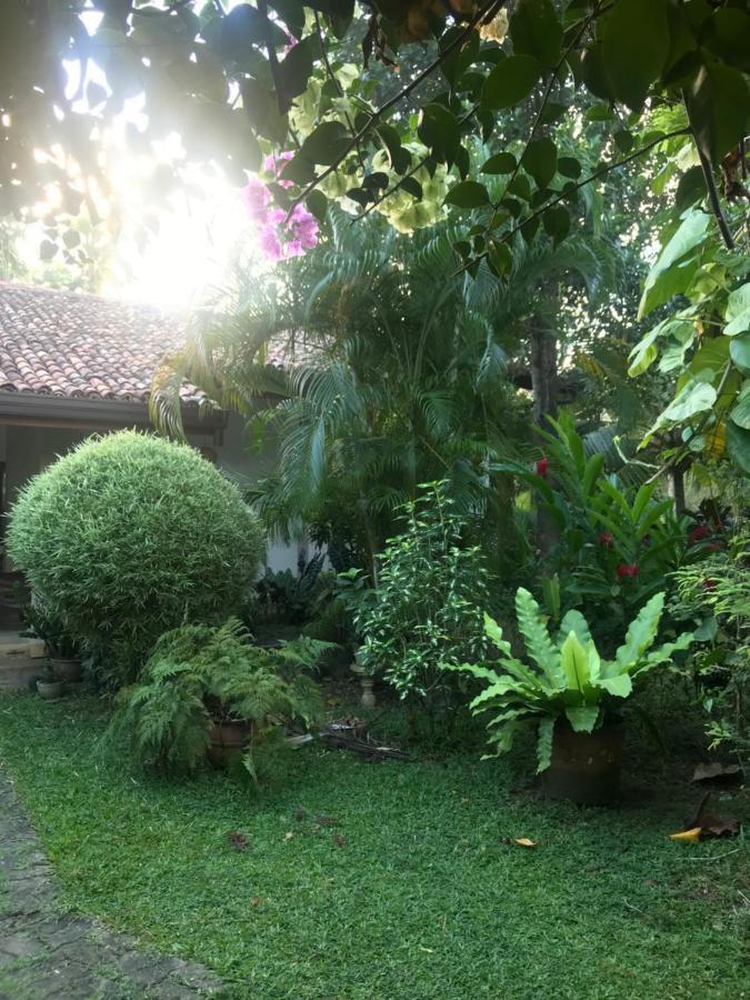 Tangalle Green House Esterno foto