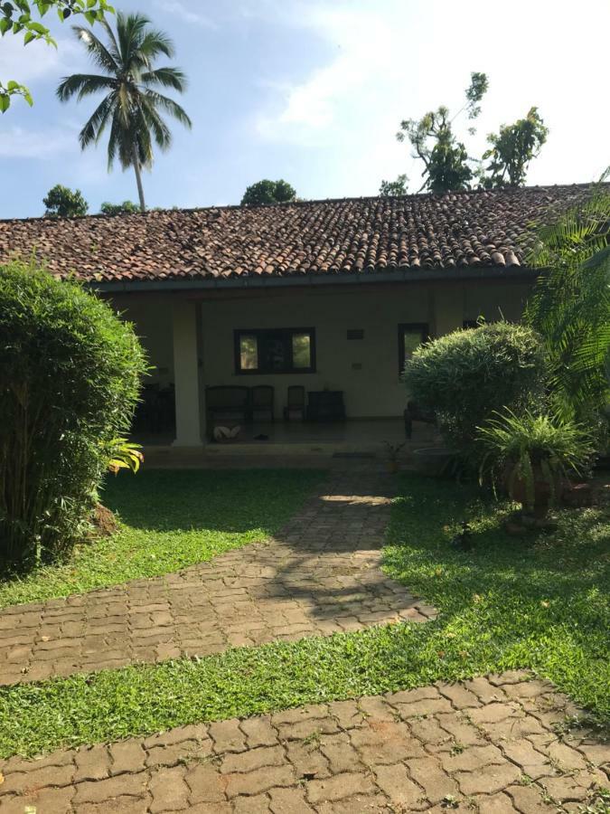 Tangalle Green House Esterno foto